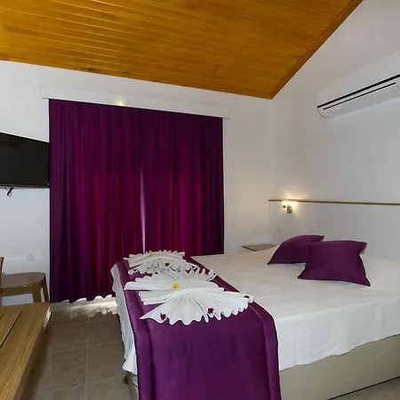 Okaliptus * Akyaka (Mugla)