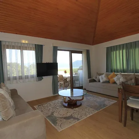 Okaliptus アクヤカ