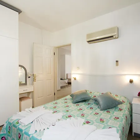 Okaliptus * Akyaka (Mugla)