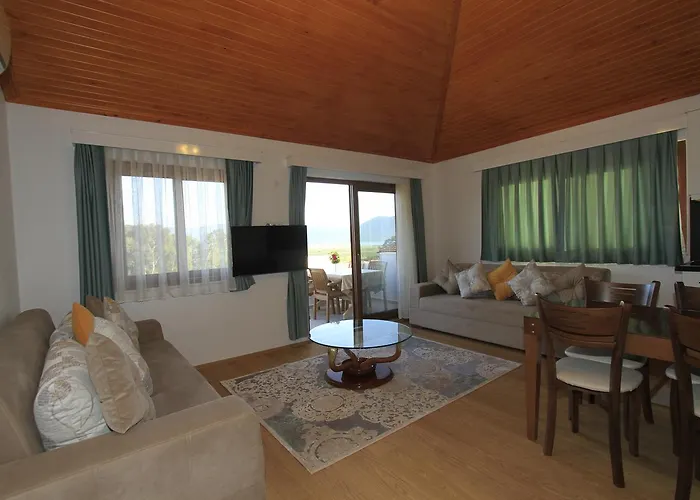 Okaliptus アクヤカ