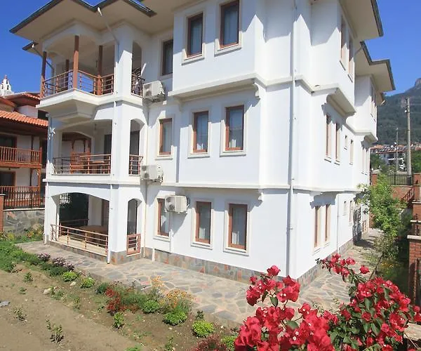 Okaliptus * アクヤカ