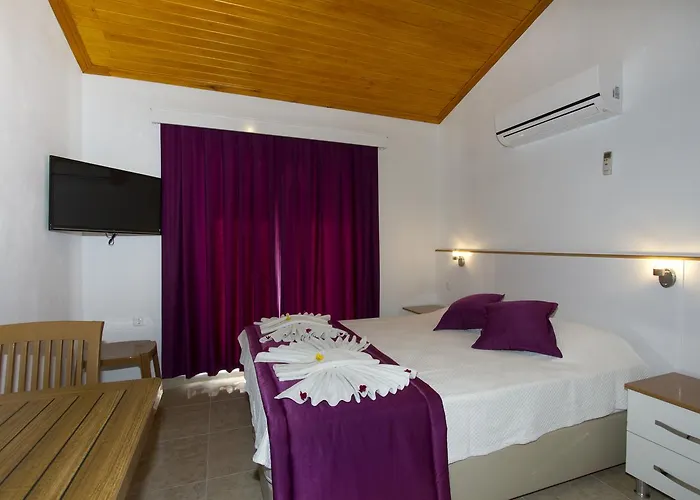 Okaliptus * アクヤカ